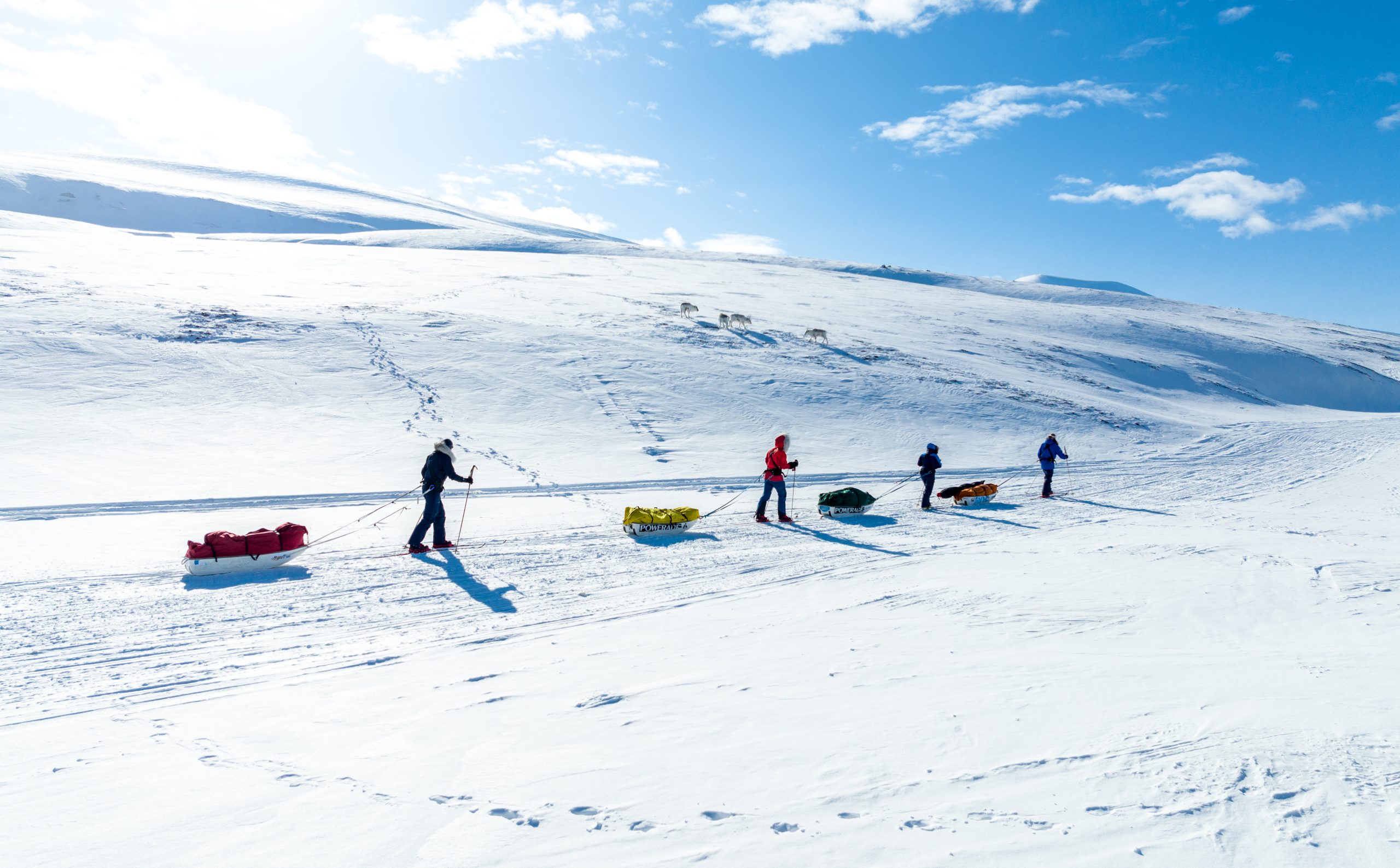 Courses Ice Axe Expeditions